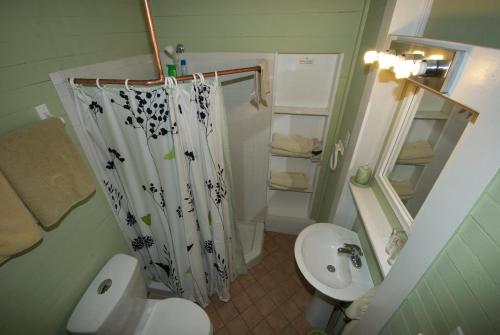 a bathroom with a shower and a toilet and a sink at The Burgundy Bed and Breakfast in New Orleans