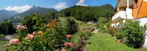 a house with flowers on a hill with mountains at Apparthaus Vonbank in Schruns-Tschagguns