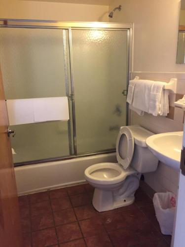 a bathroom with a shower and a toilet and a sink at Hudson Plaza Motel Bayonne Jersey City in Jersey City