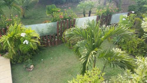 a garden with palm trees and a fence at Casa proxima ao mar em Guarajuba in Avaré