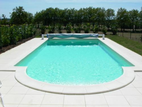 a swimming pool with a poolvisor around it at La Tuilerie du Paligny in Tallud-Sainte-Gemme