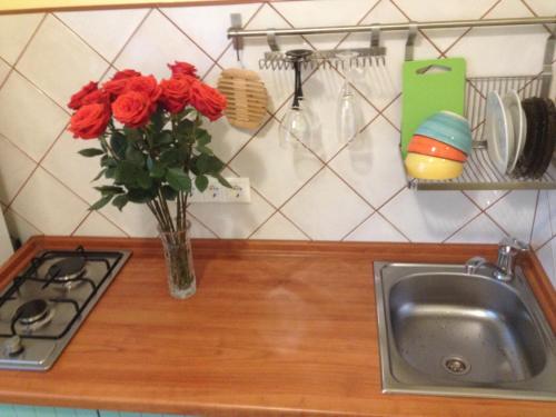 モスクワにあるApartments on Tepliy Stan 9k1の洗面台の横のカウンターの花瓶