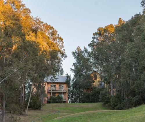 a house on a hill with trees in the foreground at Oaks Cypress Lakes Resort in Pokolbin