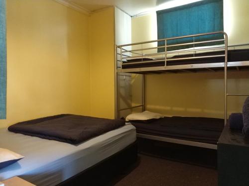 two bunk beds in a room with yellow walls at Napier Art House Backpackers in Napier