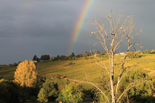 a rainbow in the sky over a field with a tree at Hôtel Restaurant Le Moulin de Saint Verand in Saint-Vérand