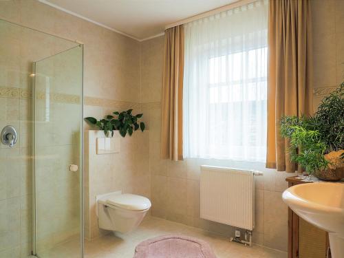 a bathroom with a toilet and a shower and a sink at Modern Apartment in Kuhlungsborn with Garden in Kühlungsborn