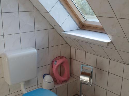 Elle comprend une petite salle de bains pourvue de toilettes et d'une fenêtre. dans l'établissement Modern Apartment near Sea in Tranewitz, à Tarnewitz