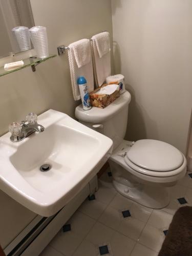 a bathroom with a white toilet and a sink at Cave Mountain Motel in Windham