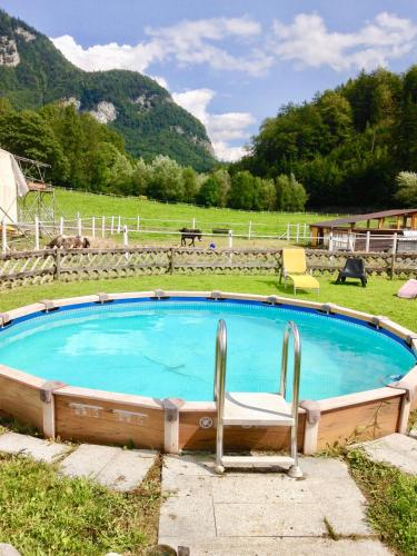 a swimming pool with a chair in a field at Eichhof Brienzwiler Berner Oberland in Brienzwiler