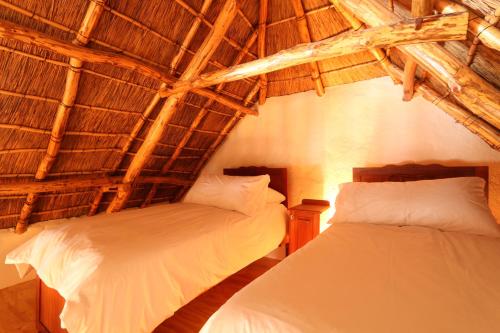 a bedroom with two beds in a straw roof at Matjiesvlei Retreat Oudehuiskloof in Calitzdorp