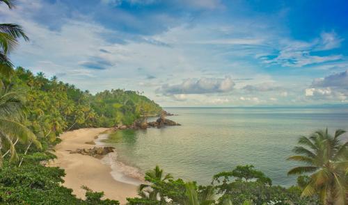 - une vue sur la plage avec des arbres et l'océan dans l'établissement Xeliter Vista Mare, Samana, à Santa Bárbara de Samaná