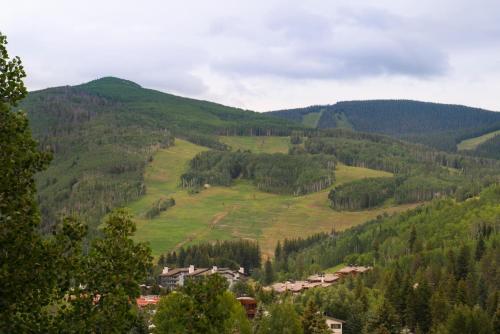 a scenic view of a hillside with trees at Evergreen Lodge at Vail in Vail