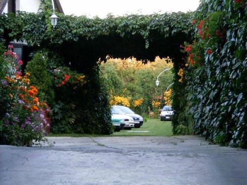 an entrance to a yard with flowers and cars at Akác Vendégház in Eger