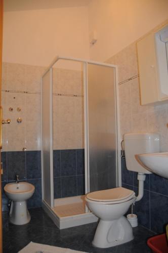 a bathroom with a shower and a toilet and a sink at Villa Radovan in Novigrad Istria
