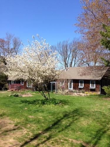 a house with a flowering tree in the yard at Inn at Fox Hill Farm in Pomfret