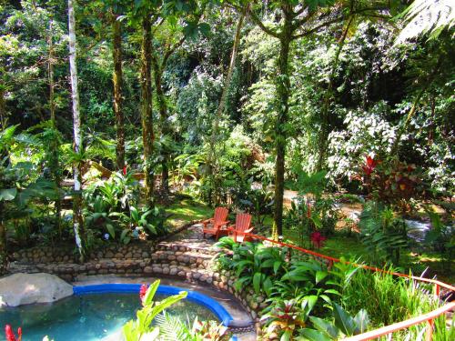 a garden with a pool and two chairs and trees at Agua Inn in Nuevo Arenal
