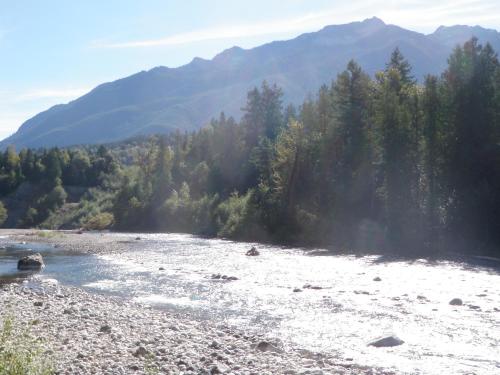a river with trees and mountains in the background at Riverbend Guest House in Chilliwack