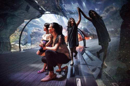 a group of girls sitting in a glass tunnel at Ibis World Trade Centre in Dubai