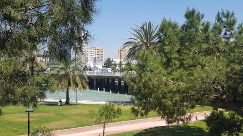 a bridge over a body of water with palm trees at Domus Valencia Apartamentos Loft zona Pechina in Valencia