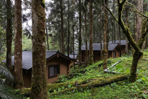 a cabin in the woods with trees at Ming Chi Resort in Datong