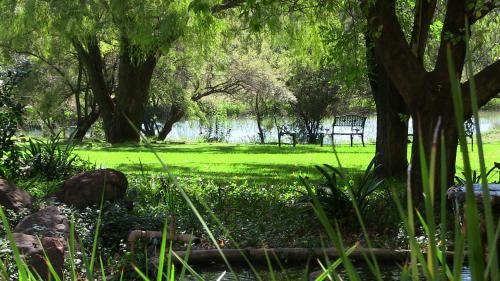 a park with trees and a field of grass at Budmarsh Country Lodge in Magaliesburg