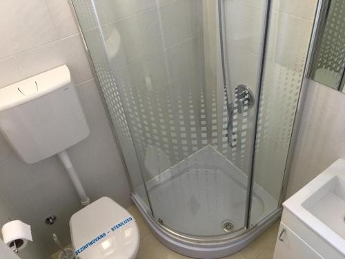 a bathroom with a shower and a toilet at Apartment Silver Pedestrian Zone in Belgrade
