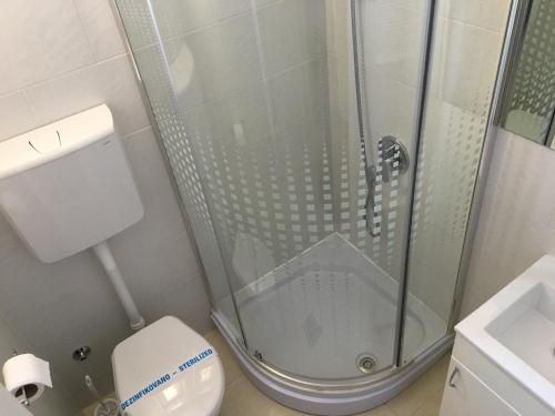 a bathroom with a shower and a toilet at Apartment Silver in Belgrade