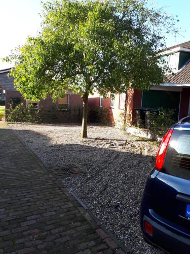 a car parked next to a tree in a driveway at Bed en Breakfast Het Oelenest in Hooghalen