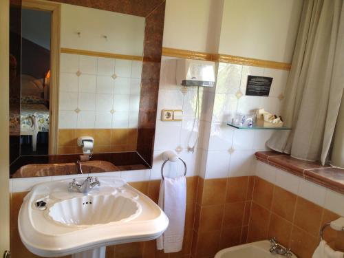 a bathroom with a sink and a mirror and a toilet at Hotel Palacio De La Viñona in Oviedo