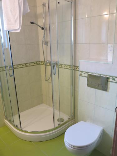 a bathroom with a shower and a toilet at RoFel Pokoje Gościnne in Sopot