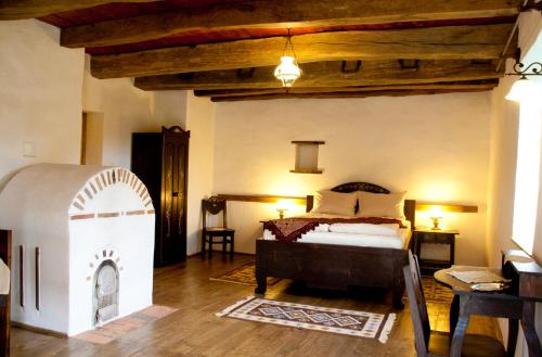 a bedroom with a bed and a fireplace in it at Casa cu zorele, Crit 189 in Criţ