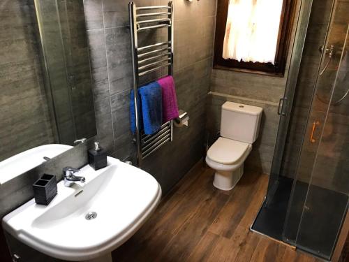 ein Bad mit einem Waschbecken und einem WC in der Unterkunft Masia Cap del Roc in Vallcebre