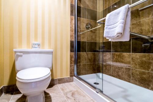 a bathroom with a toilet and a shower at Sinbads Hotel & Suites in Gander