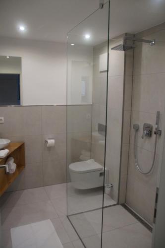 a bathroom with a toilet and a glass shower at Hotel Dorfmühle in Lehrberg