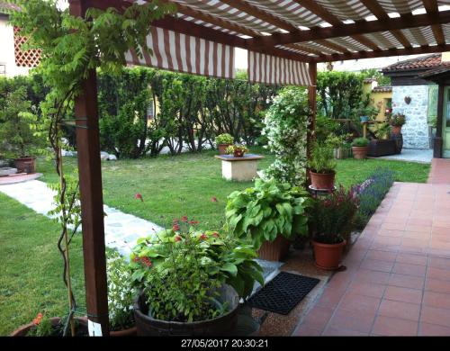 A garden outside East Wind
