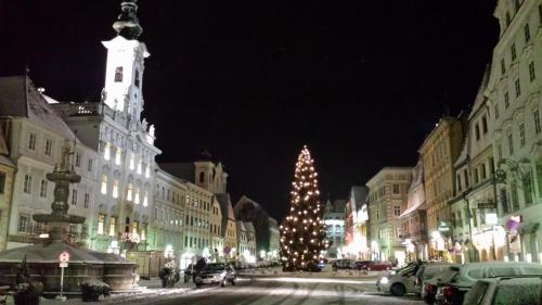 a christmas tree in the middle of a city at night at Lovely Flat in a Lovely City in Steyr