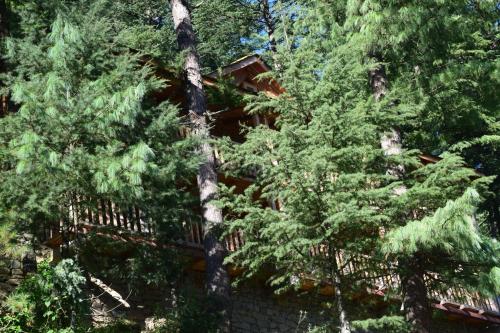 a group of trees in front of a fence at Kudrat - A Boutique Homestay- Tirthan Valley in Banjār