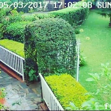 Ebuhleni lodge – Photos 5