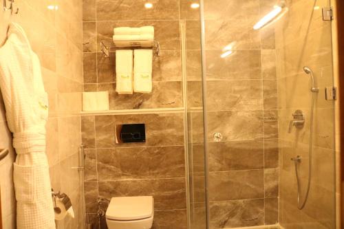 uma casa de banho com uma cabina de duche e um WC. em Hotel Nova Sky em Erbil