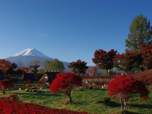 a mountain in the distance with red trees in the foreground at Villa Ensoleille in Fujikawaguchiko