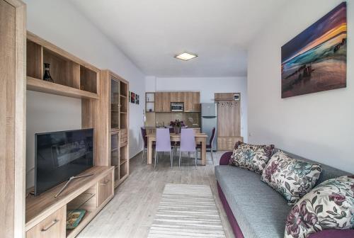 a living room with a couch and a tv at Residence iL Lago in Cluj-Napoca
