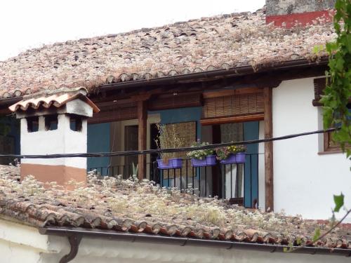 an old house with plants on the roof at La Solana, alojamiento y alfarería in Arenas de San Pedro