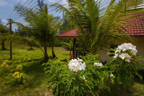 a garden with white flowers in front of a house at Pranee Beach Bungalows in Ko Kho Khao