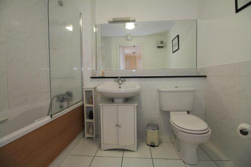 ダブリンにあるNorth Docklands Self Catering apartmentのバスルーム(トイレ、洗面台、鏡付)