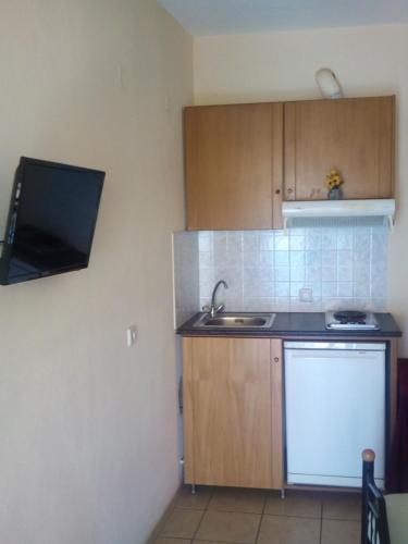 a small kitchen with a sink and a dishwasher at menidistudios in Menídion