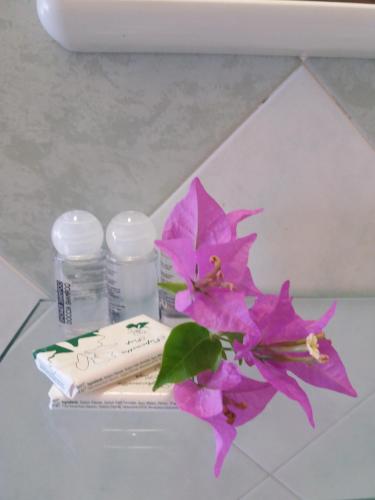 a pink flower sitting on top of a bathroom counter at Florenza Residence in Sperlonga