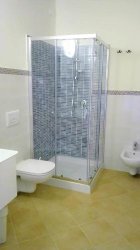 a bathroom with a shower and a toilet and a sink at Hotel Aldiola Country Resort in Sant Antonio Di Gallura