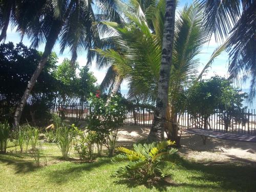 a park with palm trees and a wooden fence at Residence Tsara Vintana in Ambatoloaka