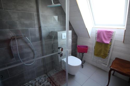 a bathroom with a shower and a toilet at Tribord la Maison de l'âne in Carnac
