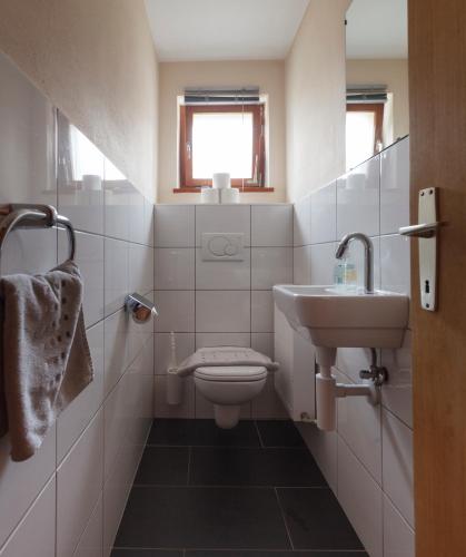a small bathroom with a sink and a toilet at Haus Angelika in Vandans